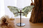 Prehnite Butterfly + Stand | 165g