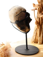 Septarian Heart + Black Metal Stand | 2.65kg