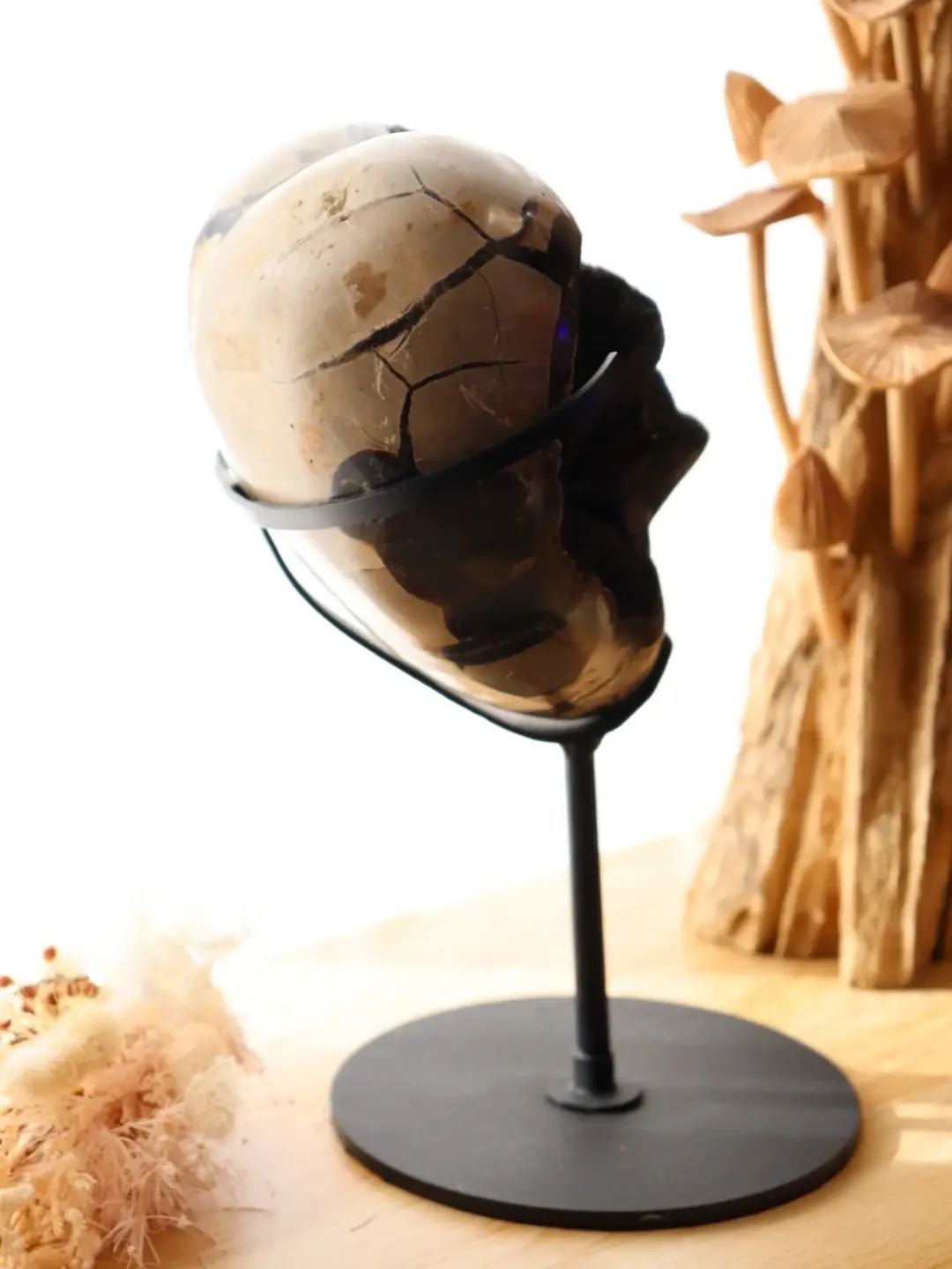 Septarian Heart + Black Metal Stand | 2.65kg