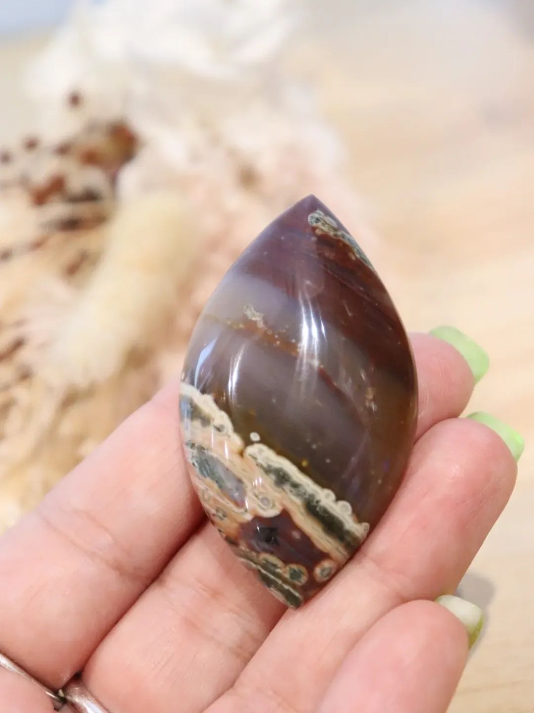 Ocean Jasper Cab