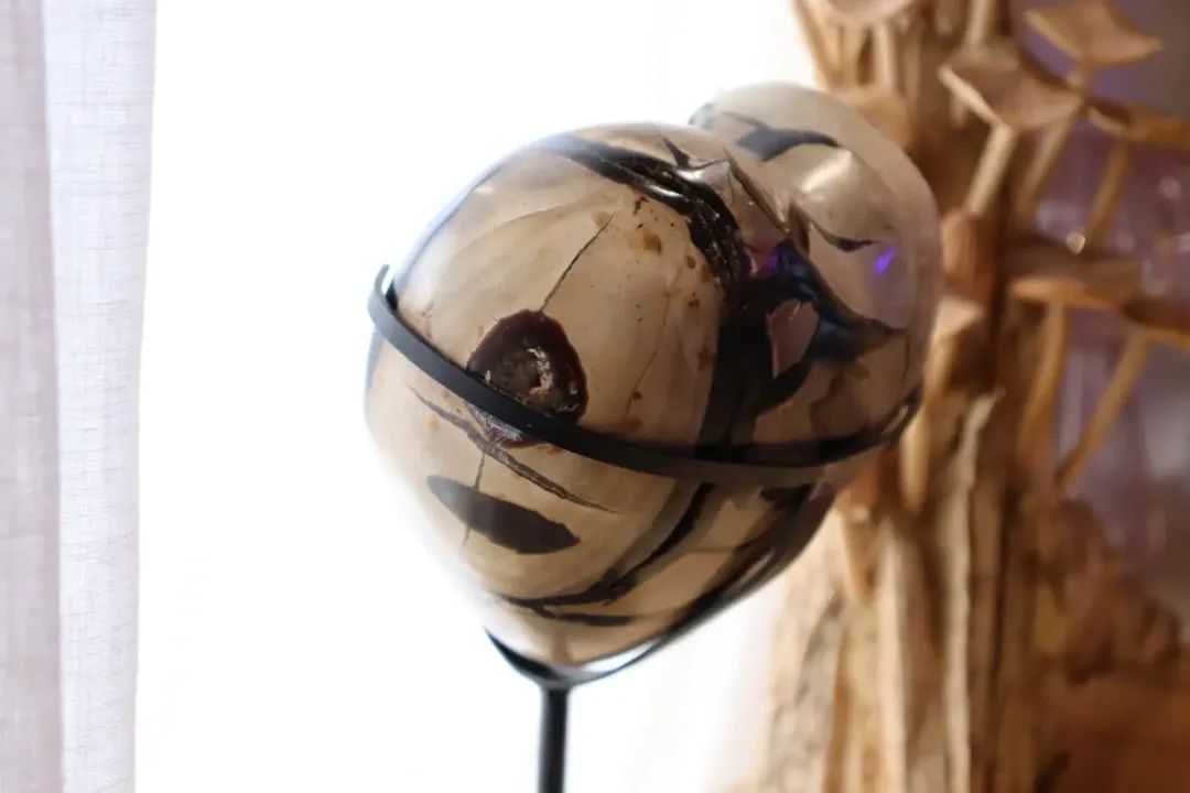 Septarian Heart + Black Metal Stand | 2.65kg