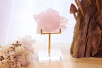 Rose Quartz Rose Carving + Stand | 268g