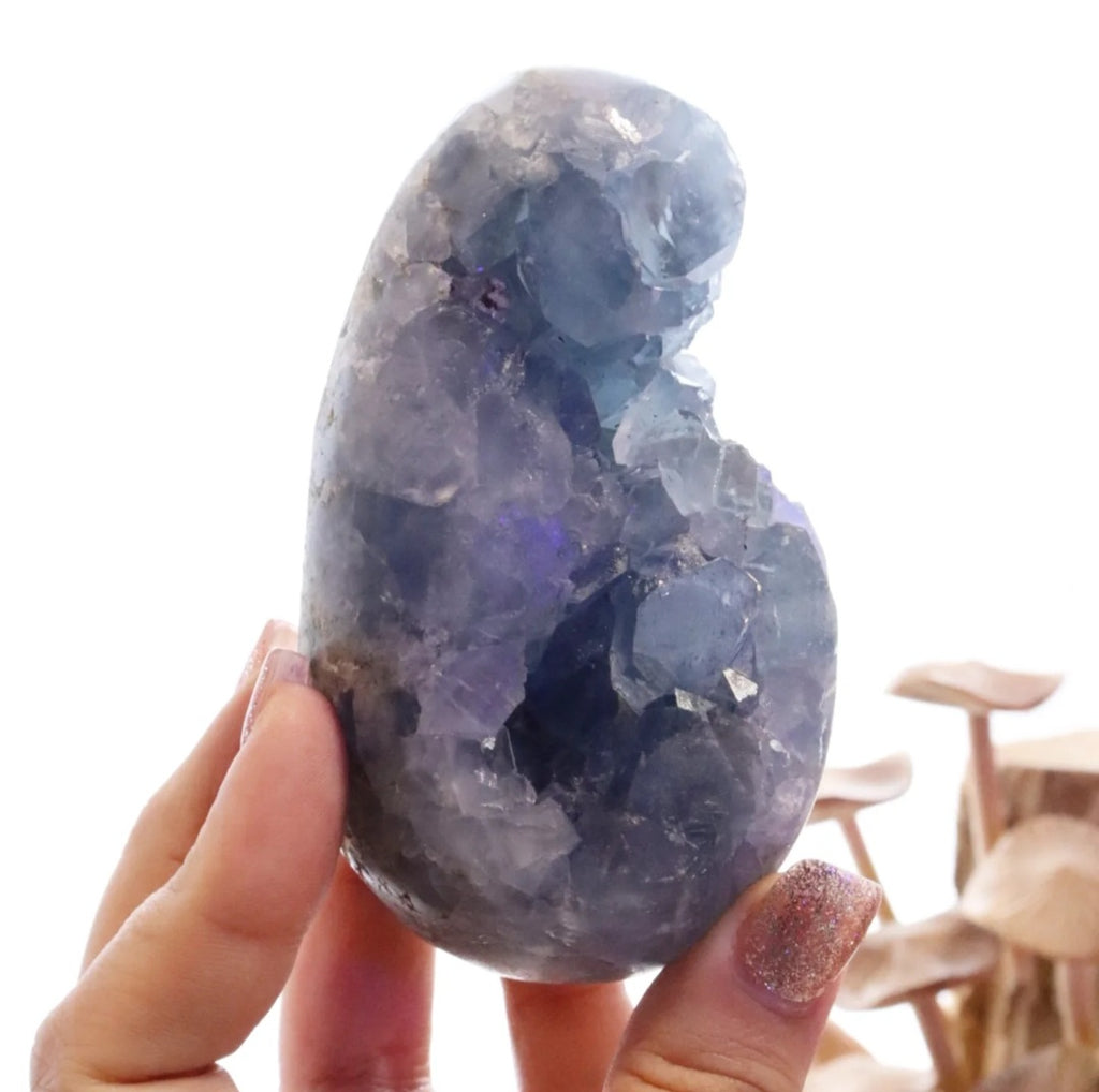 Celestite Egg + Stand | 573g