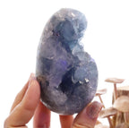 Celestite Egg + Stand | 573g