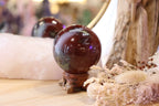 Dragon's Blood Jasper Sphere + Stand | 337g