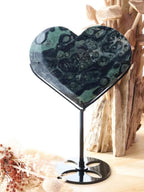 Kambaba Jasper Heart + Stand
