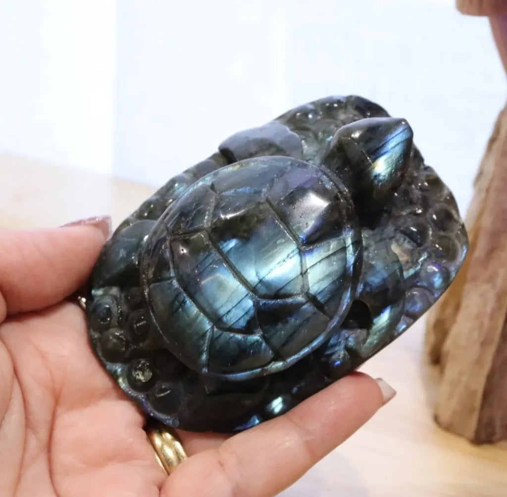 Labradorite Turtle | 196g