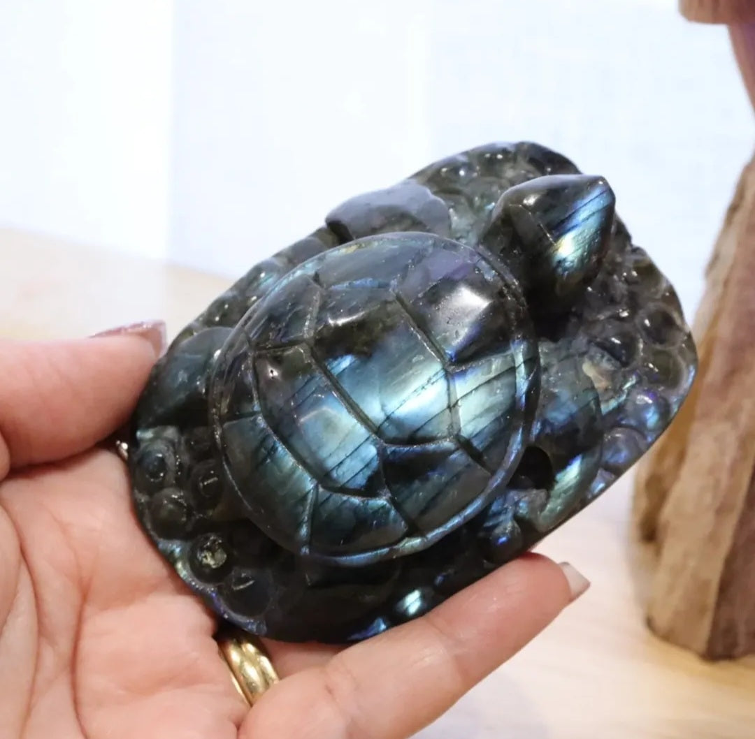 Labradorite Turtle | 196g
