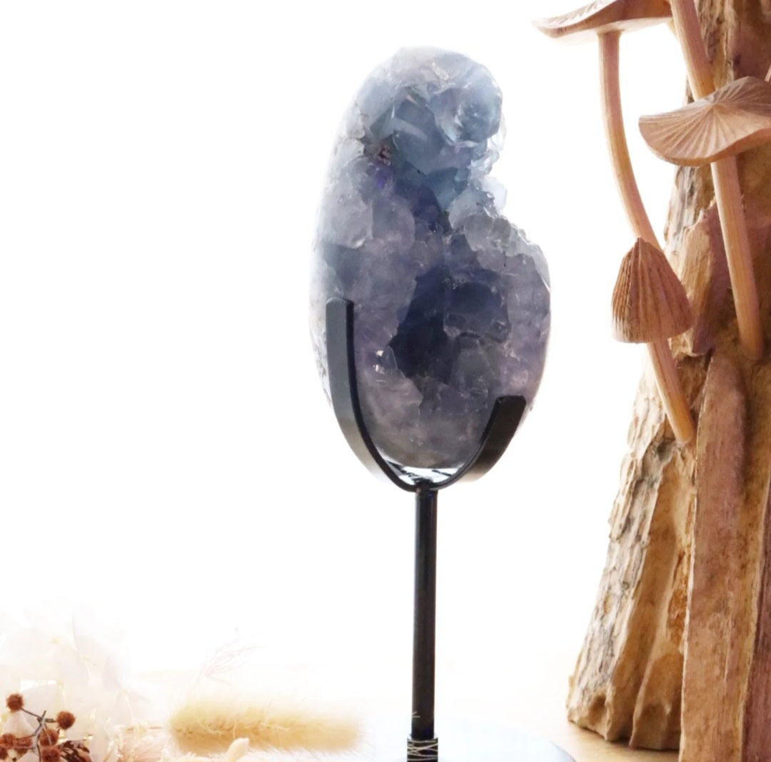 Celestite Egg + Stand | 573g