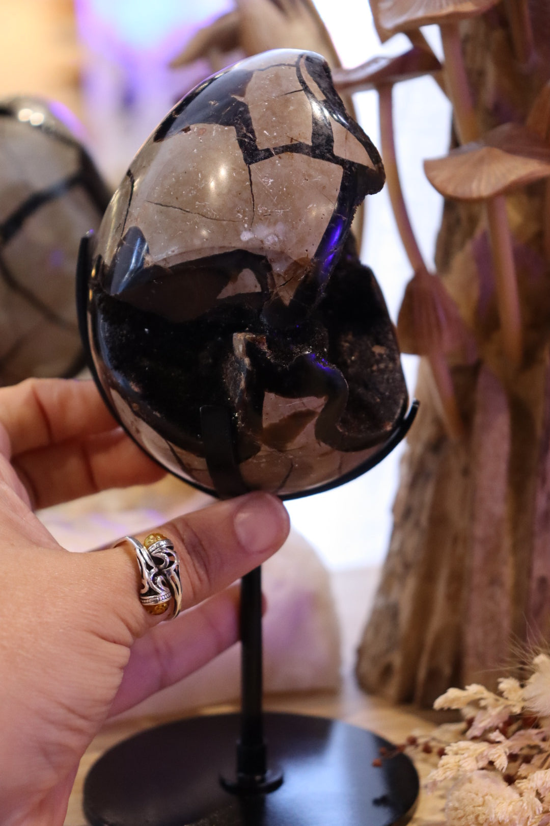 Septarian Egg + Black Metal Stand | 1.065kg