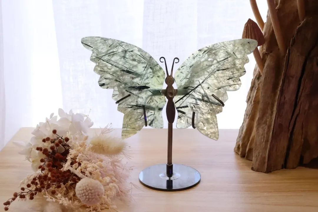 Prehnite Butterfly + Stand | 165g