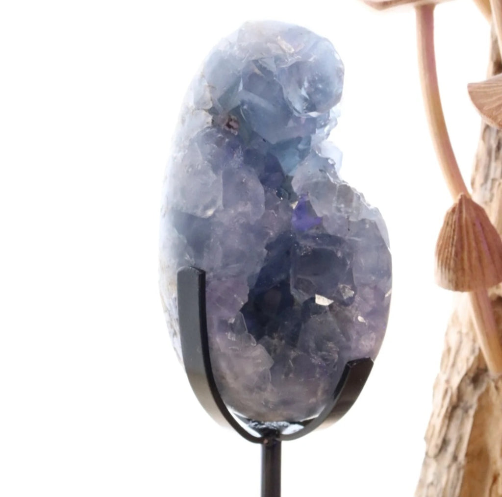 Celestite Egg + Stand | 573g