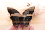 Chocolate Calcite Butterfly | 85g