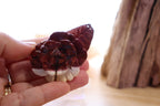 Mookaite Jasper Flower + Stand | 46g