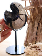 Septarian Egg + Black Metal Stand | 935g