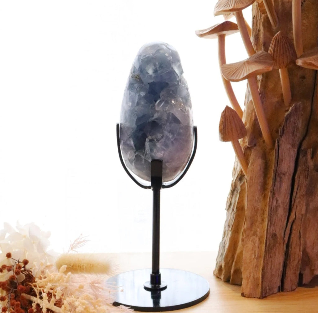 Celestite Egg + Stand | 573g