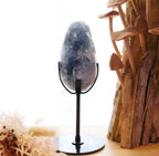Celestite Egg + Stand | 573g
