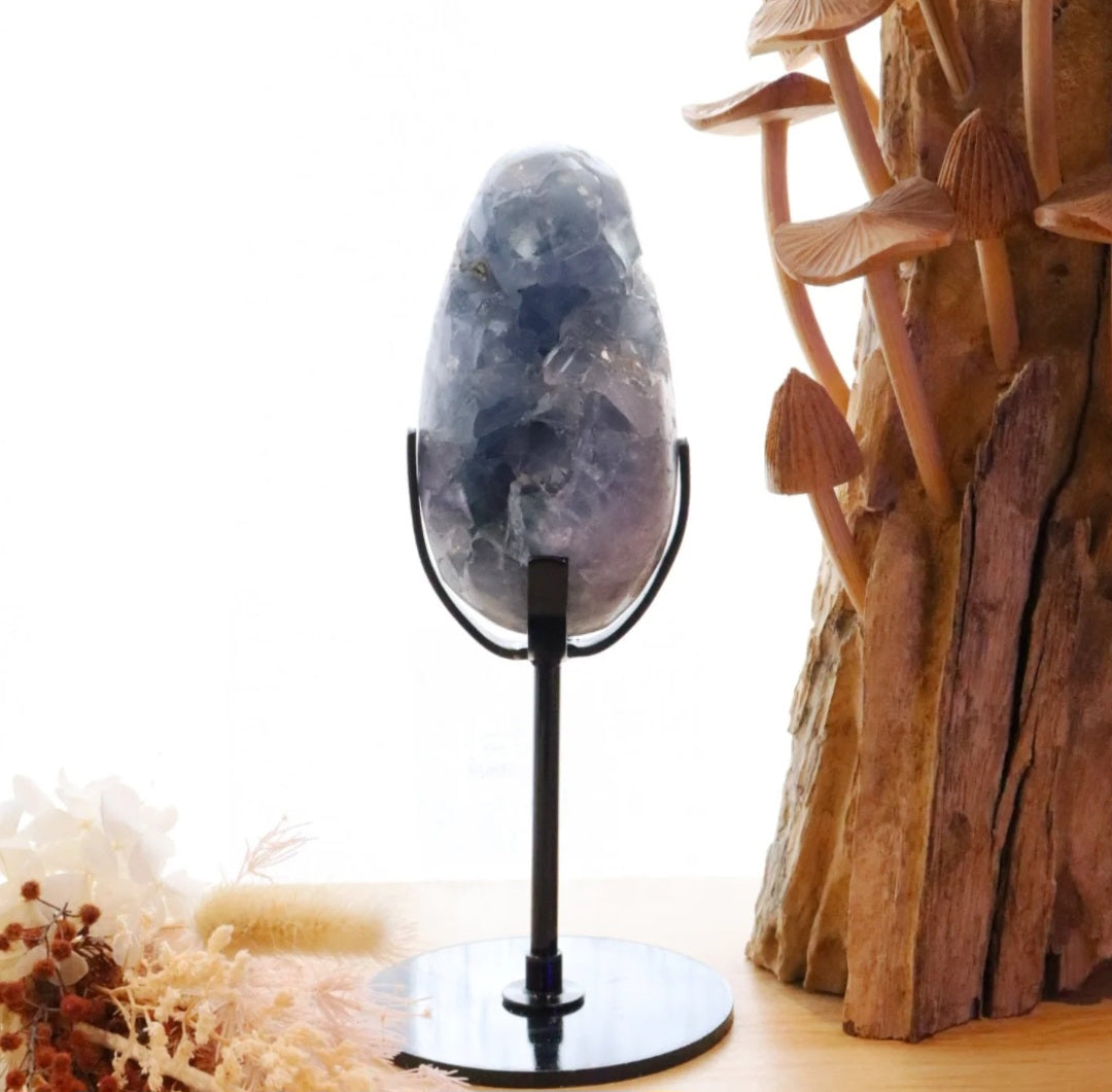 Celestite Egg + Stand | 573g