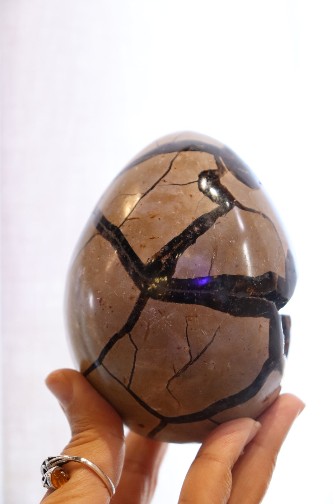 Septarian Egg + Black Metal Stand | 1.065kg