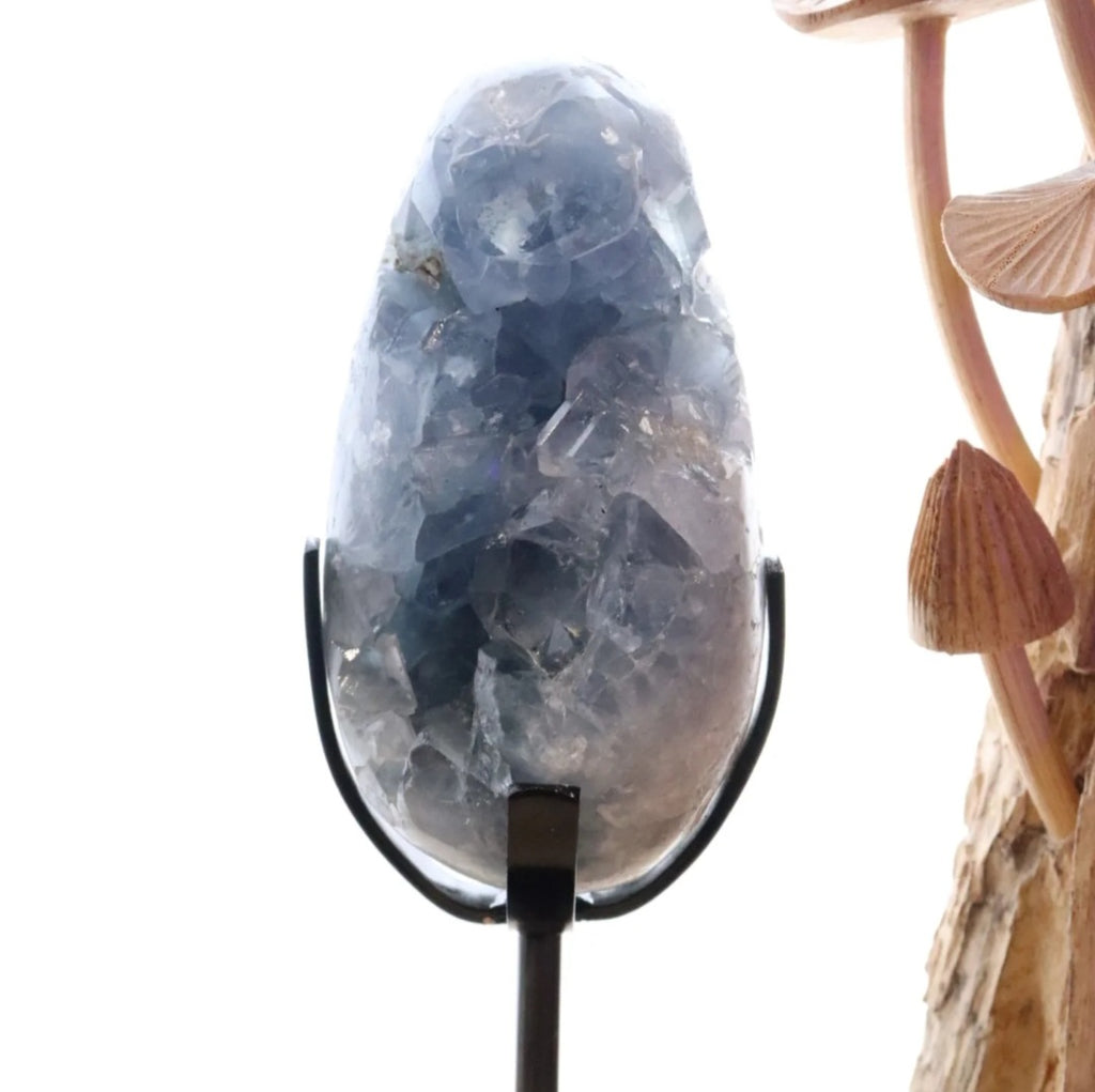 Celestite Egg + Stand | 573g