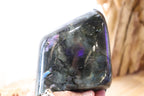 Labradorite Polished Pink + Purple | Free-Form 350g
