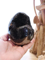 Septarian Egg + Black Metal Stand | 935g