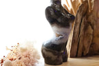 Volcano Agate Feminine Divine Lady Body | 765g