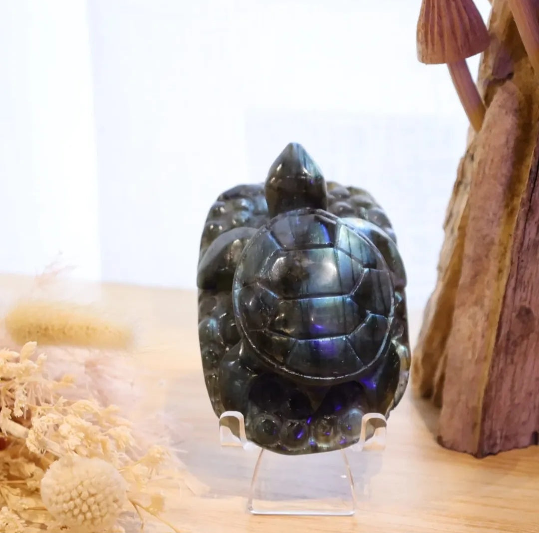 Labradorite Turtle | 196g