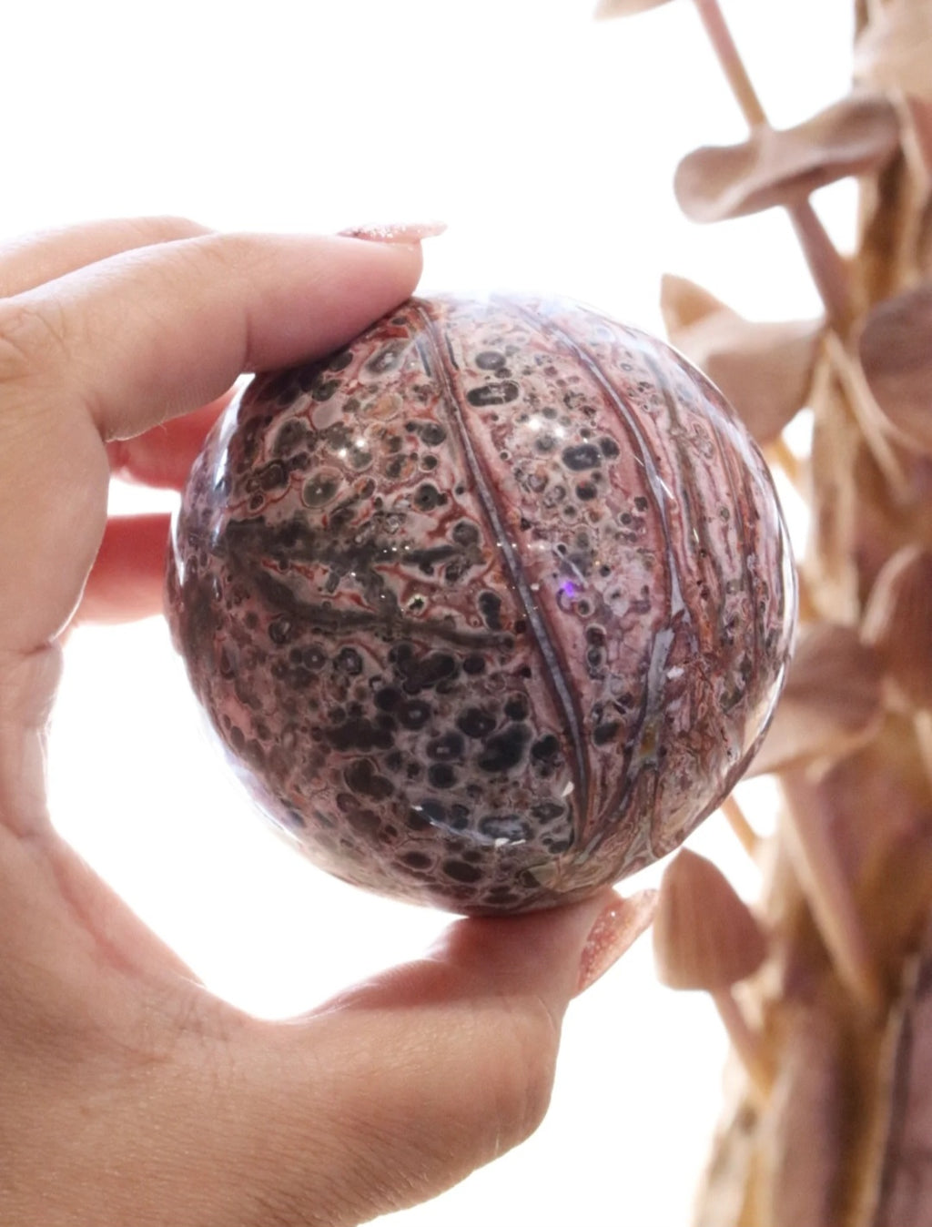Leopard Skin Jasper Sphere | 349g