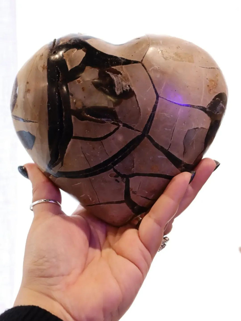 Septarian Heart + Black Metal Stand | 2.65kg