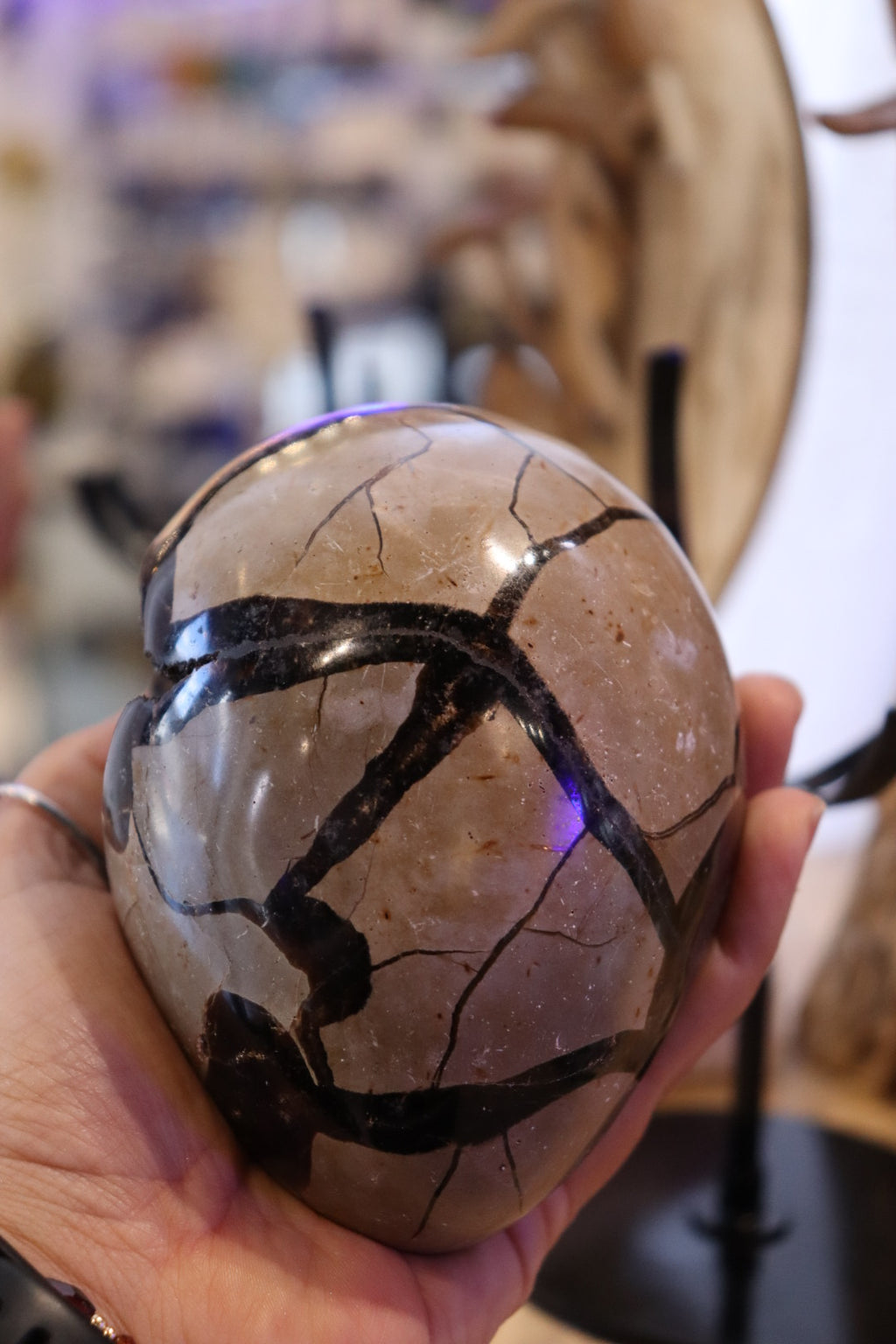 Septarian Egg + Black Metal Stand | 1.065kg