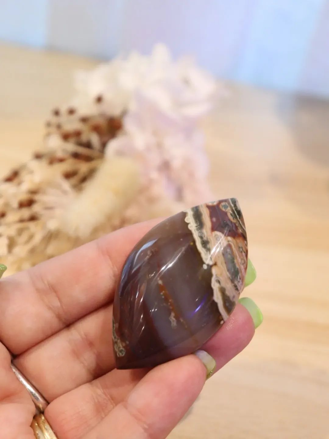 Ocean Jasper Cab