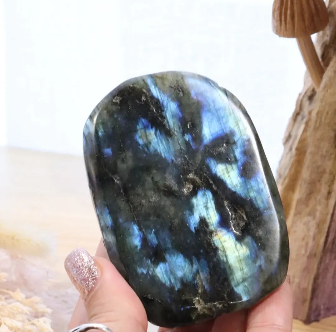 Labradorite Turtle | 196g