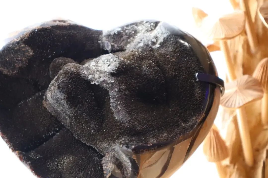 Septarian Heart + Black Metal Stand | 2.65kg
