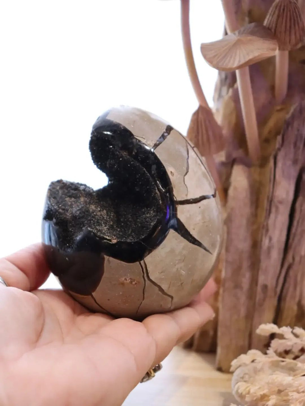 Septarian Egg + Black Metal Stand | 935g