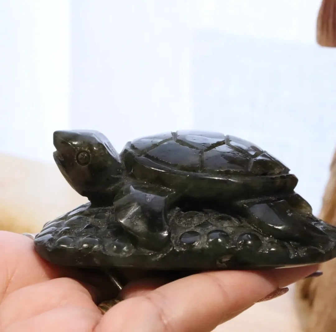Labradorite Turtle | 196g