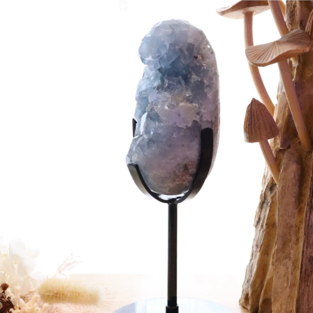 Celestite Egg + Stand | 573g