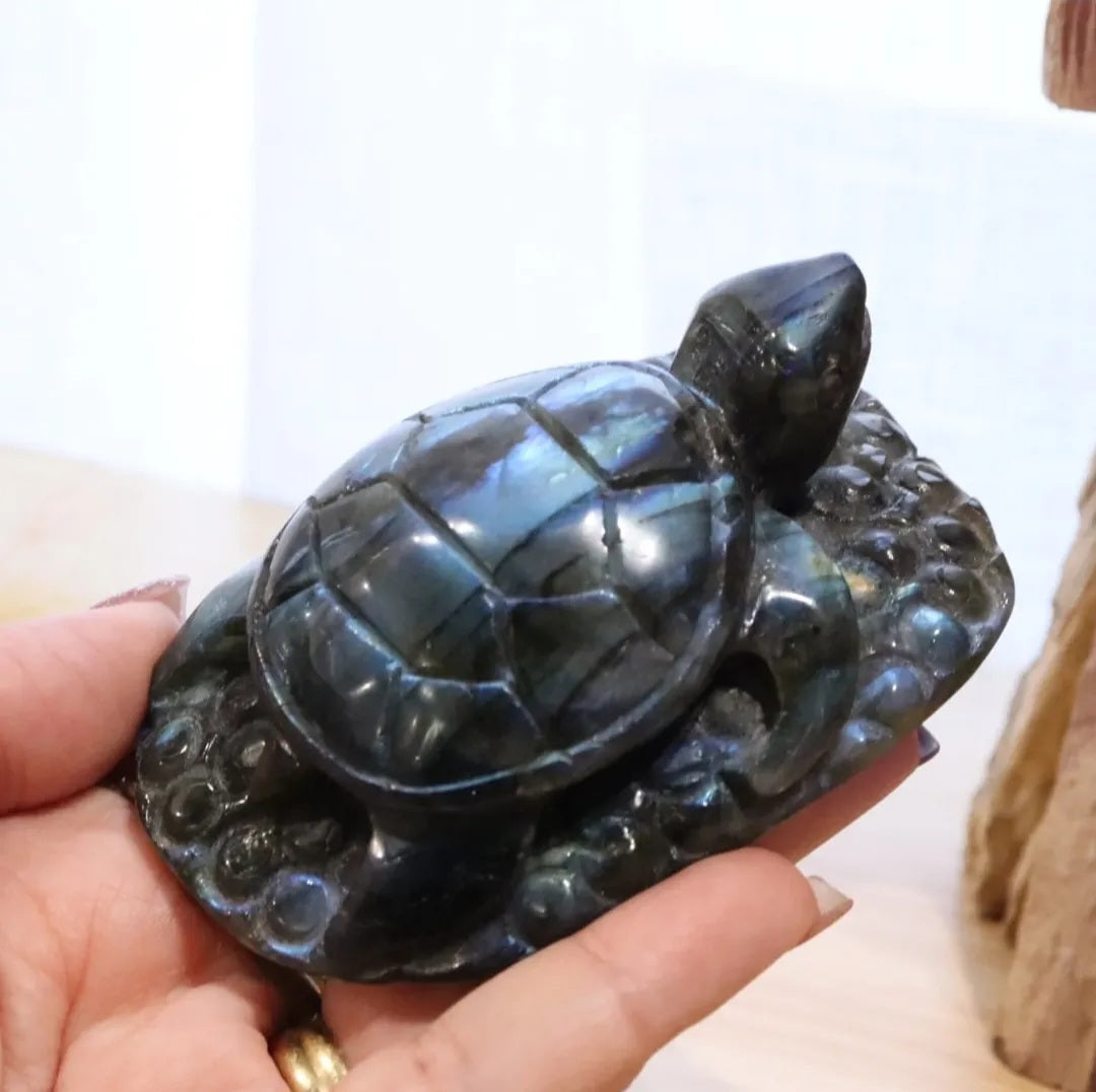 Labradorite Turtle | 196g