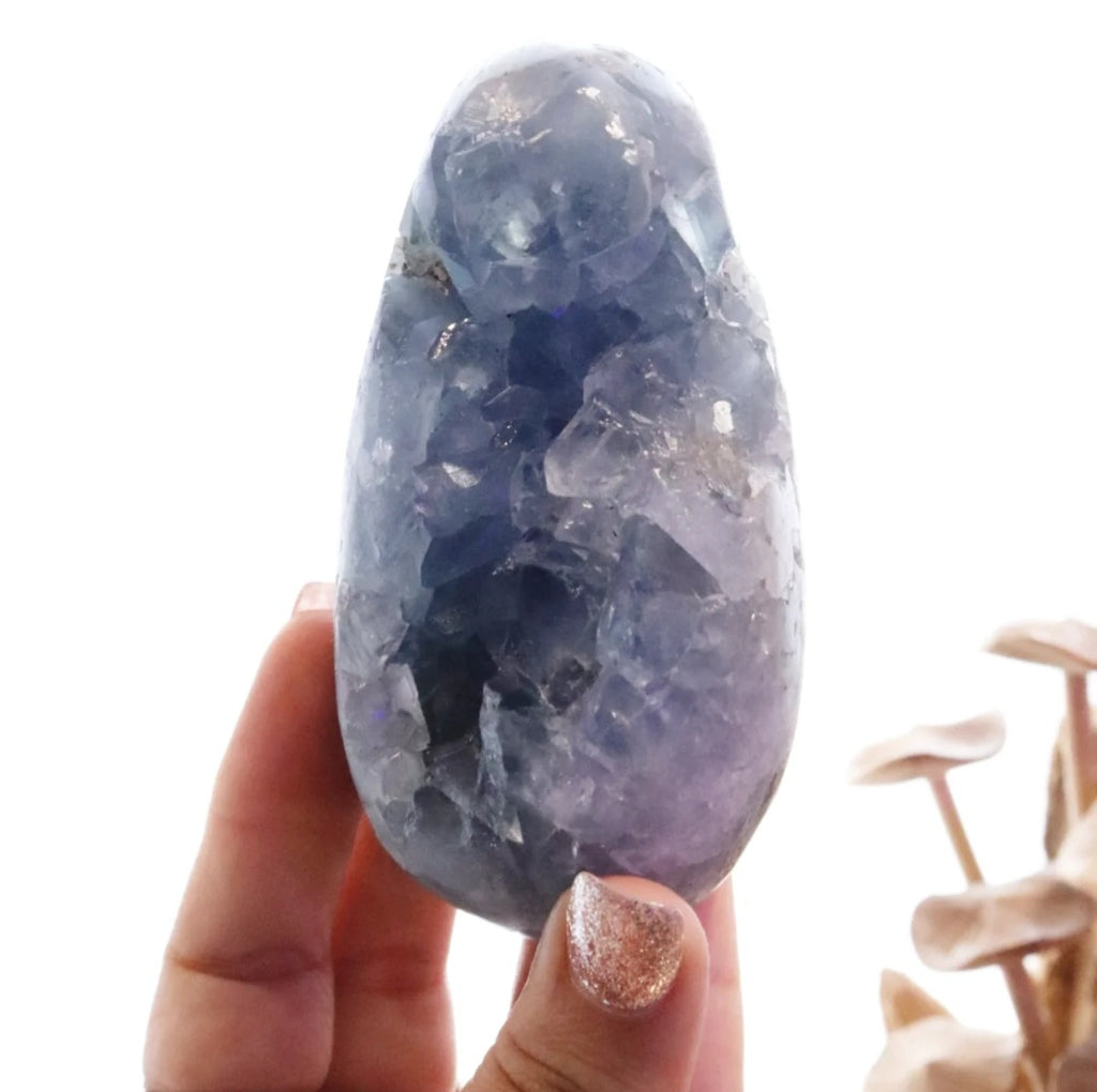 Celestite Egg + Stand | 573g