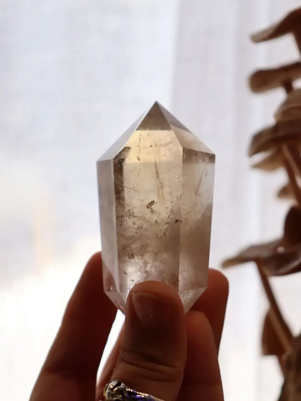 Smokey Quartz DT + Stand | 171g