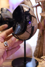 Septarian Egg + Black Metal Stand | 1.065kg