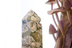 Rainforest Rhyolite Tower | 370g