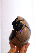 Septarian Egg + Black Metal Stand | 1.065kg