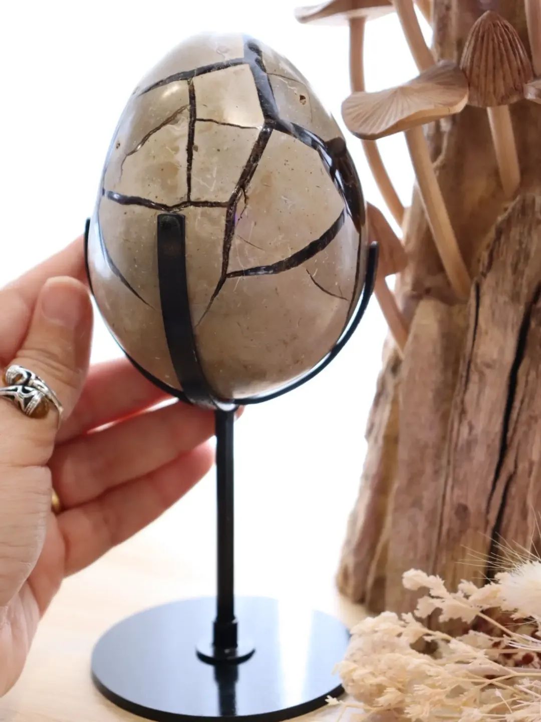 Septarian Egg + Black Metal Stand | 935g