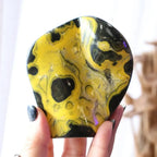 Bumble Bee Jasper Free-Form + Stand | 324g
