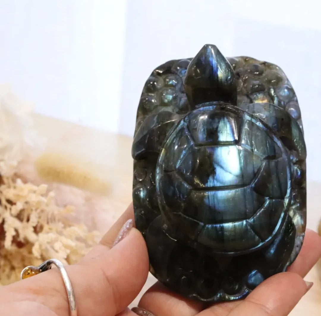 Labradorite Turtle | 196g