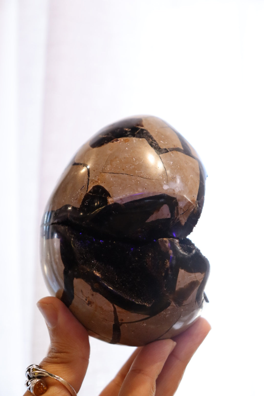 Septarian Egg + Black Metal Stand | 1.065kg