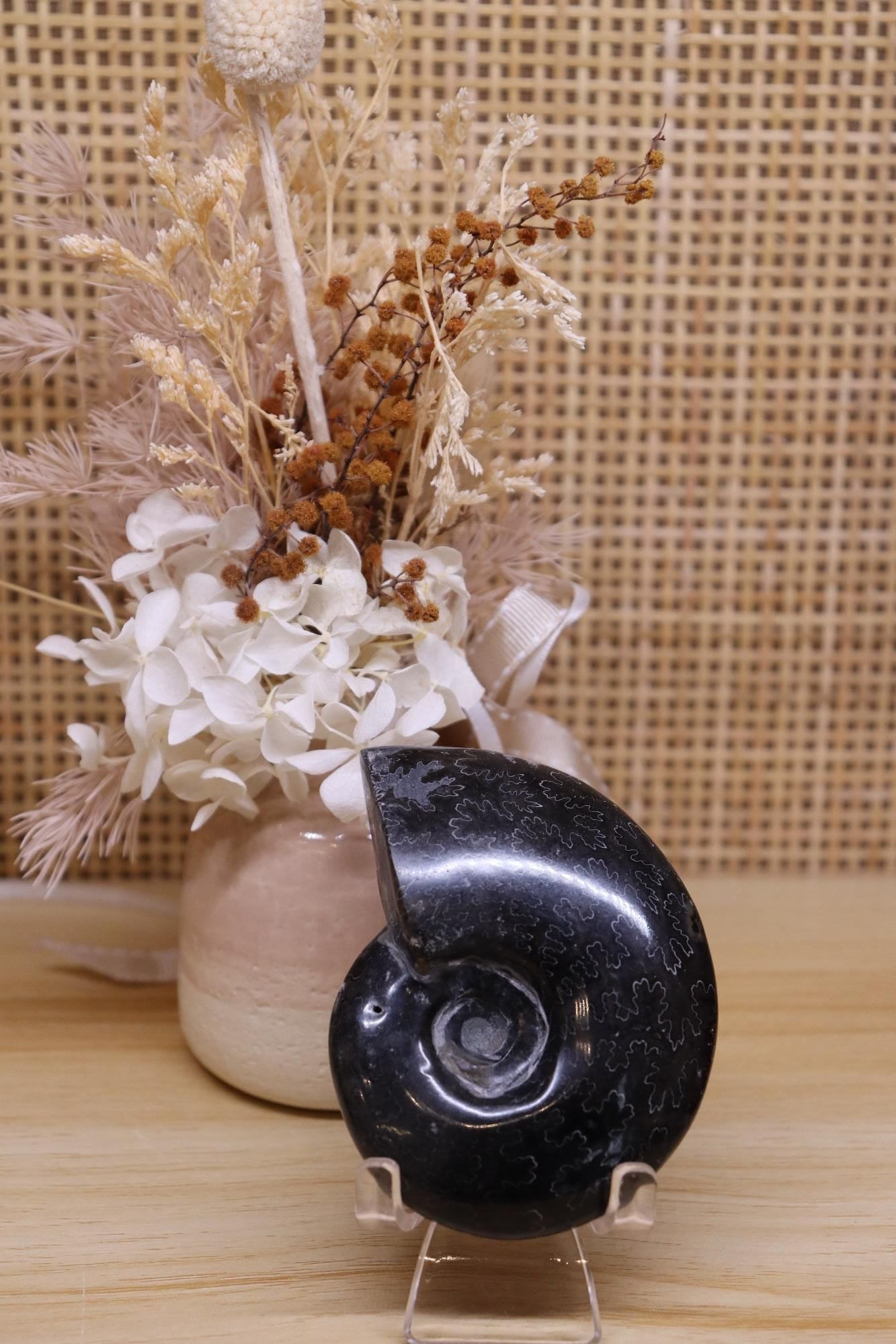 Black Ammonite & Pyrite | 125g