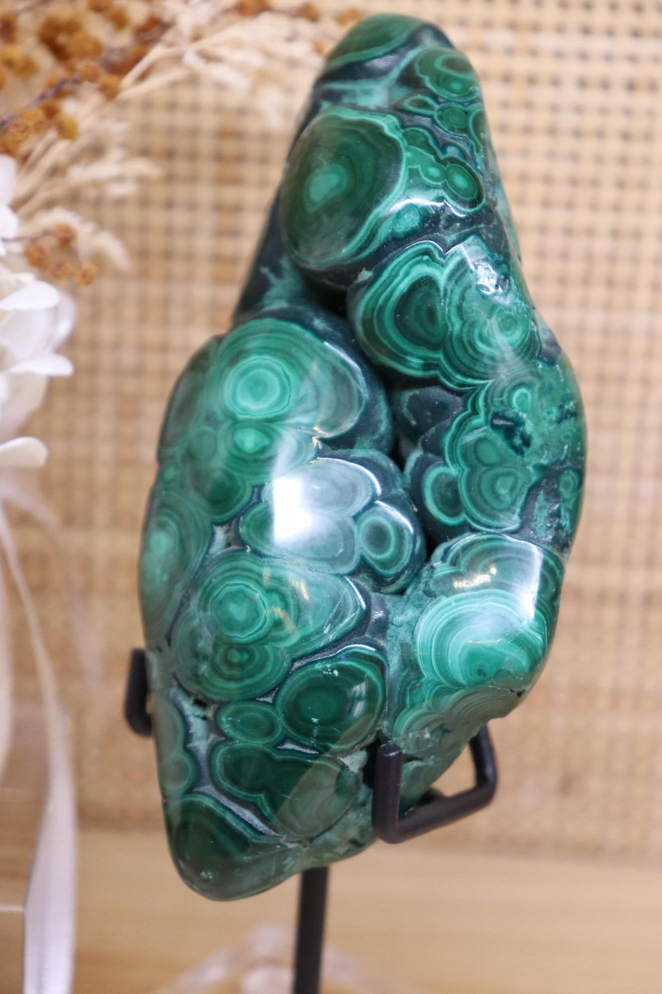 Malachite Specimen + Stand | Polished