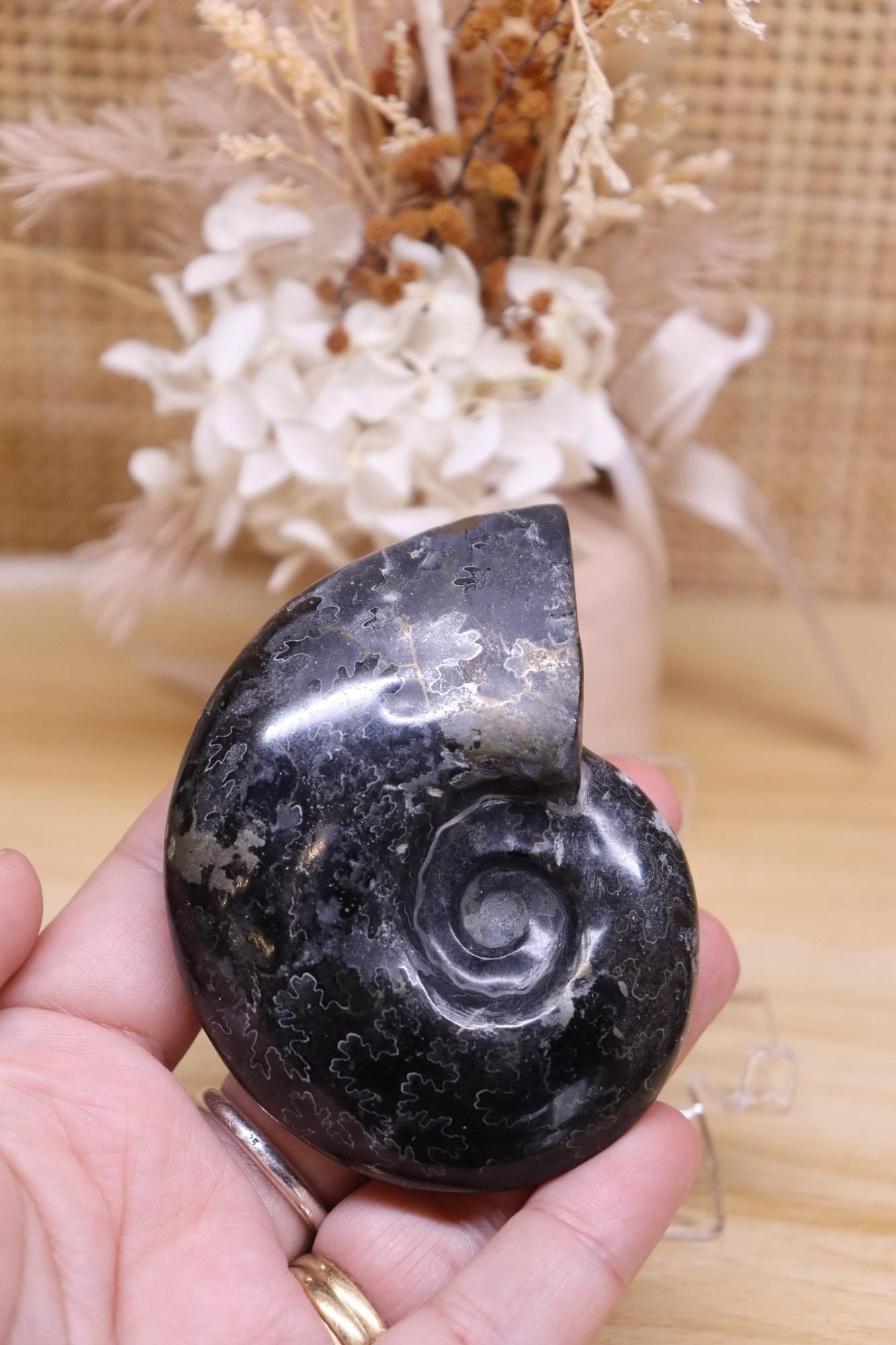 Black Ammonite & Pyrite | 125g